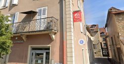 Réf : GES32970001-372, 1 pièce(s), CREMIEU