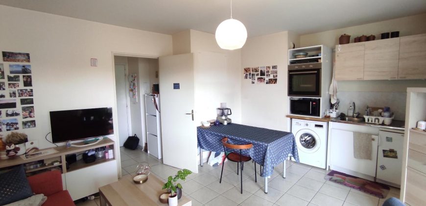 Réf : icsMVL1263-002, 2 pièce(s), LYON