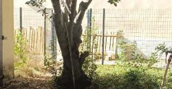 Réf : GES70130006-375, 2 pièce(s), VILLEURBANNE