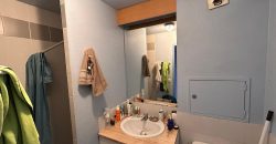 Réf : icsMVL1287-002, 1 pièce(s), VILLEURBANNE