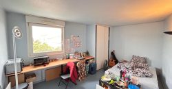 Réf : icsMVL1287-002, 1 pièce(s), VILLEURBANNE